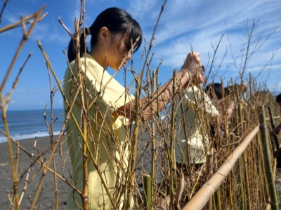 宜蘭校園體驗海岸堆砂籬　為保安林搭起防線 (1)